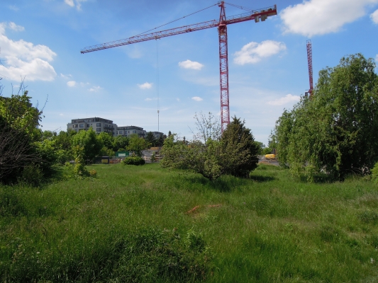 DSCN7592.JPG