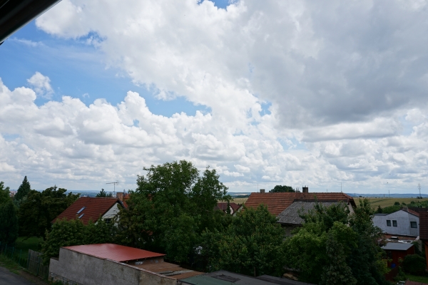 DSC00649.JPG