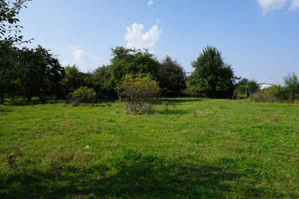 DSC00751.JPG