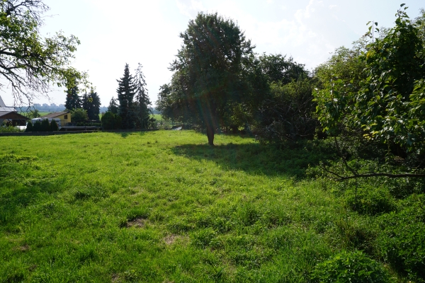 DSC00753.JPG