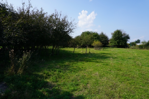 DSC00752.JPG