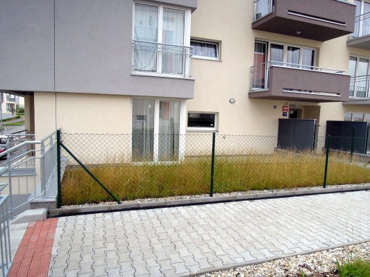 DSCN6071.jpg