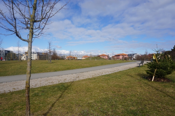 DSC01504.JPG