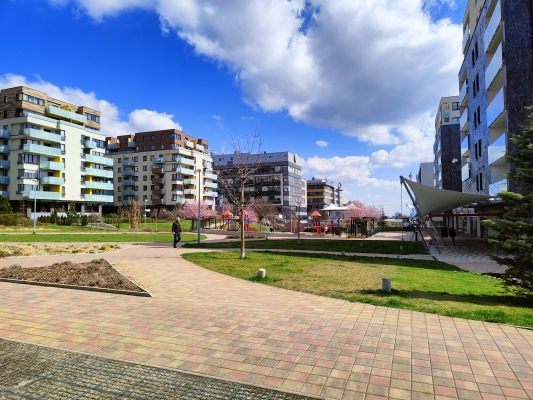 IMG20230405113717.jpg