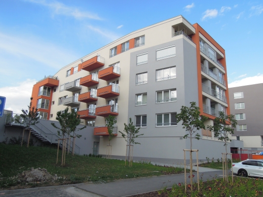DSCN6031.jpg